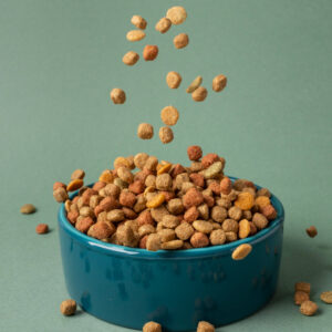 Superfood Meal